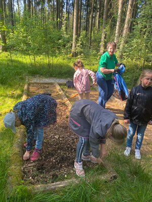 Foto des Albums: Baumsofa erneuern mit dem FGV Tröstau (26. 05. 2023)