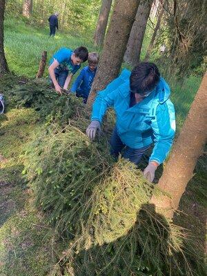 Foto des Albums: Baumsofa erneuern mit dem FGV Tröstau (26. 05. 2023)