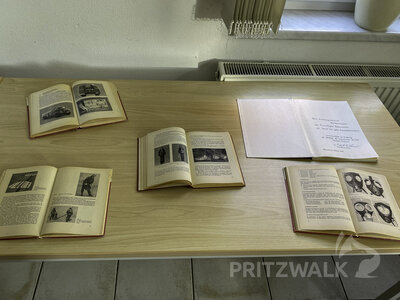 Foto des Albums: Falkenhagen feierte seine Feuerwehr