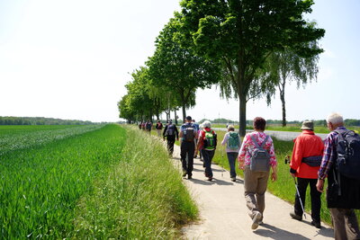 R&uuml;ckweg nach Dammkrug  (Bild vergr&ouml;&szlig;ern)