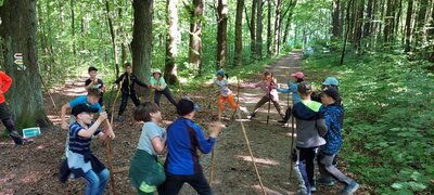 Foto des Albums: Waldjugendspiele – Spiel und Spaß im Wald