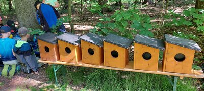 Foto des Albums: Waldjugendspiele – Spiel und Spaß im Wald