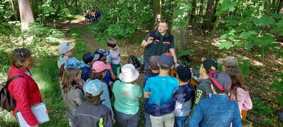Foto des Albums: Waldjugendspiele – Spiel und Spaß im Wald