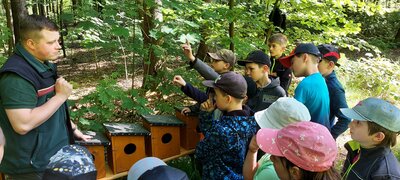 Foto des Albums: Waldjugendspiele – Spiel und Spaß im Wald