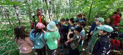 Foto des Albums: Waldjugendspiele – Spiel und Spaß im Wald
