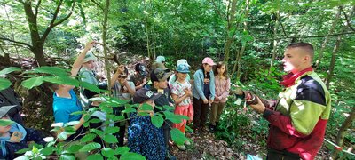 Foto des Albums: Waldjugendspiele – Spiel und Spaß im Wald
