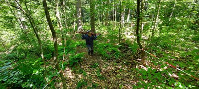 Foto des Albums: Waldjugendspiele – Spiel und Spaß im Wald