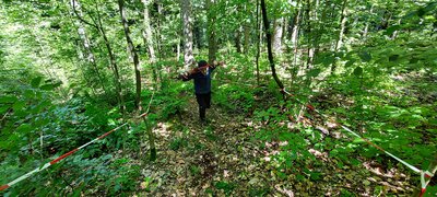 Foto des Albums: Waldjugendspiele – Spiel und Spaß im Wald