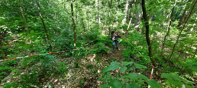 Foto des Albums: Waldjugendspiele – Spiel und Spaß im Wald