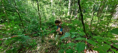 Foto des Albums: Waldjugendspiele – Spiel und Spaß im Wald