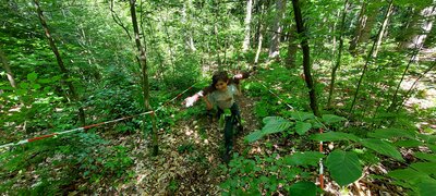 Foto des Albums: Waldjugendspiele – Spiel und Spaß im Wald