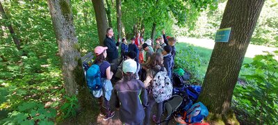Foto des Albums: Waldjugendspiele – Spiel und Spaß im Wald