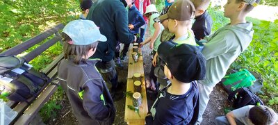 Foto des Albums: Waldjugendspiele – Spiel und Spaß im Wald
