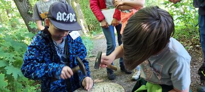 Foto des Albums: Waldjugendspiele – Spiel und Spaß im Wald