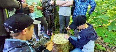 Foto des Albums: Waldjugendspiele – Spiel und Spaß im Wald