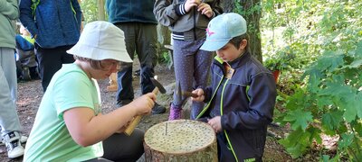 Foto des Albums: Waldjugendspiele – Spiel und Spaß im Wald