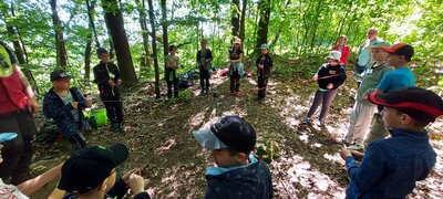 Foto des Albums: Waldjugendspiele – Spiel und Spaß im Wald