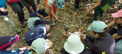 Foto des Albums: Waldjugendspiele – Spiel und Spaß im Wald