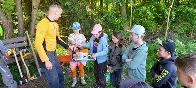 Foto des Albums: Waldjugendspiele – Spiel und Spaß im Wald