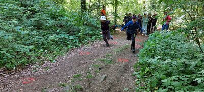 Foto des Albums: Waldjugendspiele – Spiel und Spaß im Wald