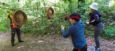 Foto des Albums: Waldjugendspiele – Spiel und Spaß im Wald