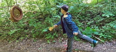 Foto des Albums: Waldjugendspiele – Spiel und Spaß im Wald