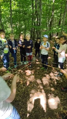 Foto des Albums: Waldjugendspiele – Spiel und Spaß im Wald