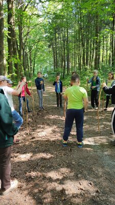 Foto des Albums: Waldjugendspiele – Spiel und Spaß im Wald
