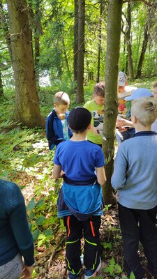 Foto des Albums: Waldjugendspiele – Spiel und Spaß im Wald