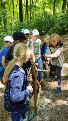 Foto des Albums: Waldjugendspiele – Spiel und Spaß im Wald