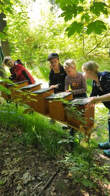 Foto des Albums: Waldjugendspiele – Spiel und Spaß im Wald
