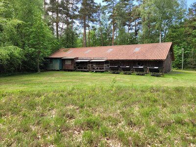 Foto des Albums: Moorbahn Burgsittensen