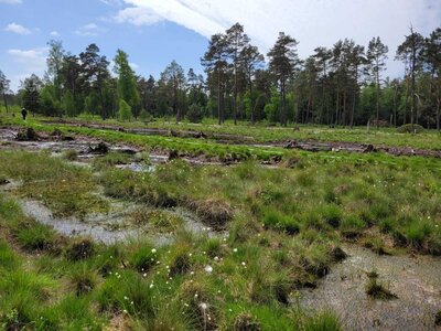 Foto des Albums: Moorbahn Burgsittensen