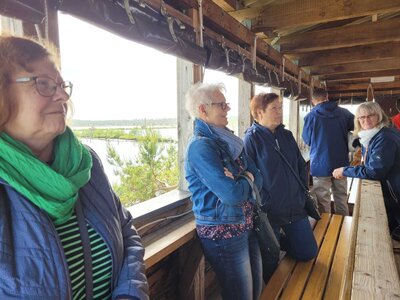 Foto des Albums: Moorbahn Burgsittensen
