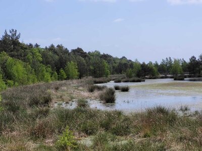 Foto des Albums: Moorbahn Burgsittensen