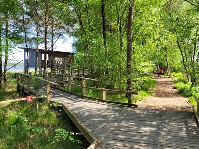 Foto des Albums: Moorbahn Burgsittensen
