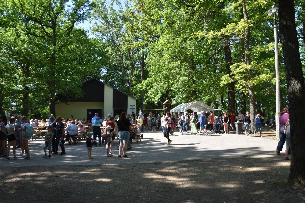 Bild der Galerie