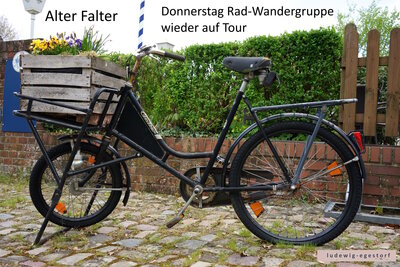 Alter Falter  (Bild vergr&ouml;&szlig;ern)