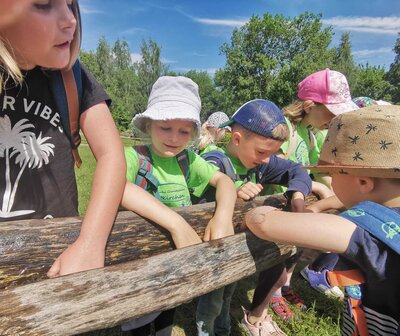 Foto des Albums: Kindertagsausflug 2023