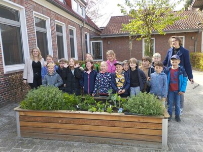 Foto des Albums: Schüler pflanzen und säen