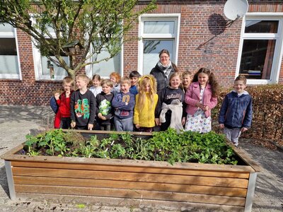 Foto des Albums: Schüler pflanzen und säen