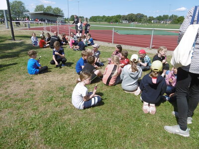 Foto des Albums: Sportfest