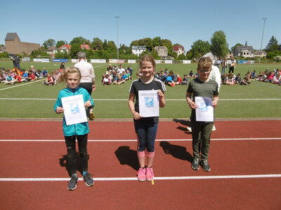 Foto des Albums: Sportfest