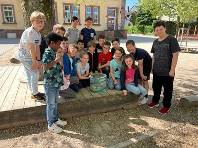 Foto des Albums: Schmetterlinge