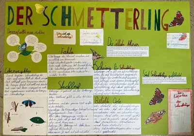 Foto des Albums: Schmetterlinge