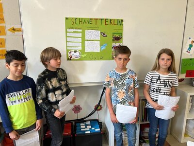 Foto des Albums: Schmetterlinge