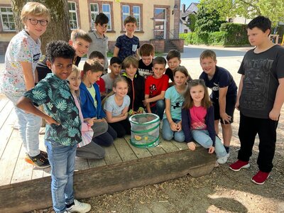 Foto des Albums: Schmetterlinge