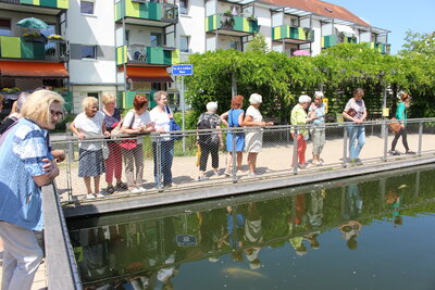 Foto des Albums: Stadtrundgang Seniorenwoche (08.06.2023)