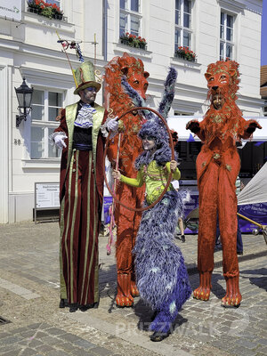 Foto des Albums: Samstagnachmittag bei den Pritzwalker Festtagen