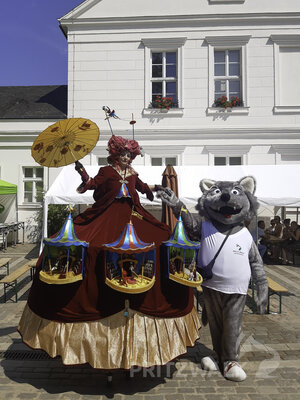 Foto des Albums: Samstagnachmittag bei den Pritzwalker Festtagen